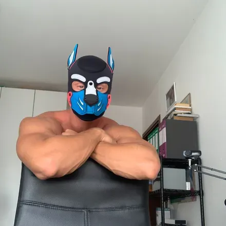 OnlyFans cuenta golden.musclepup avatar 1