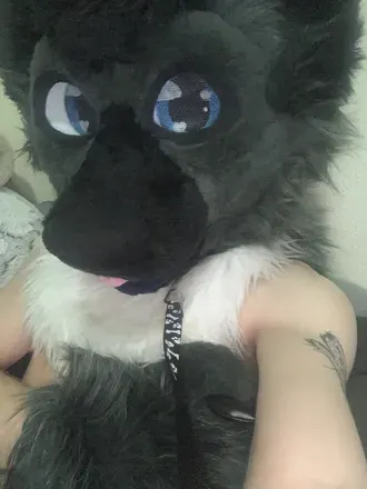 OnlyFans cuenta cyropaws avatar 1