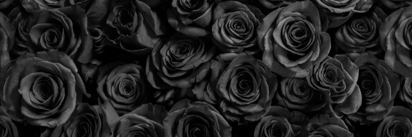OnlyFans cuenta ava_black_rose header 2