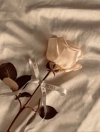 OnlyFans cuenta bbw_francii header 2