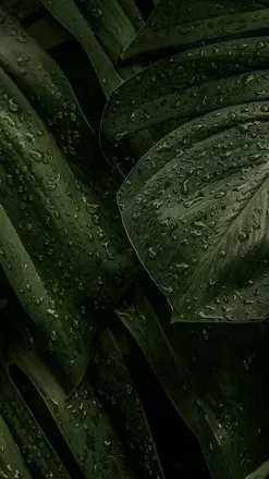 OnlyFans cuenta queenellaj08 header 2