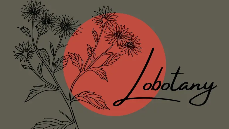 OnlyFans cuenta lobotany header 2
