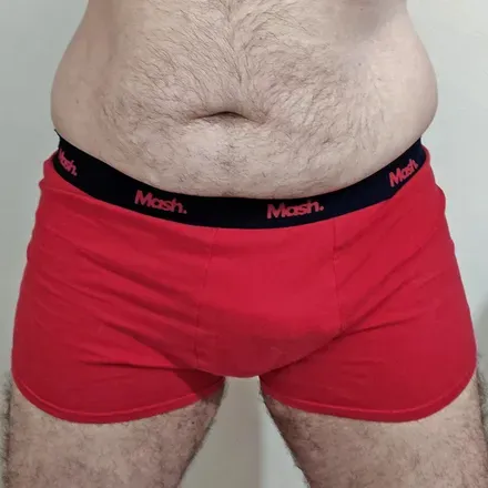 OnlyFans cuenta professor.bear avatar 1