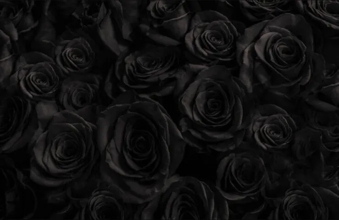 OnlyFans cuenta elizagraves header 2