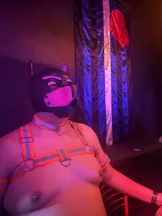 OnlyFans cuenta eustacechowchow avatar 1