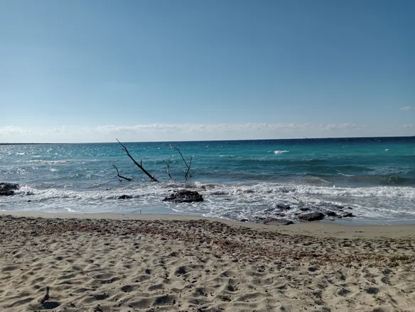 OnlyFans cuenta felice_pesce header 2