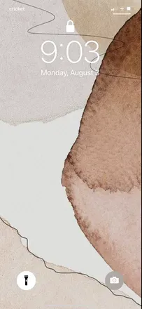 OnlyFans cuenta dixieloves header 2