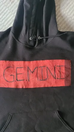 OnlyFans cuenta gemini_0602 header 2