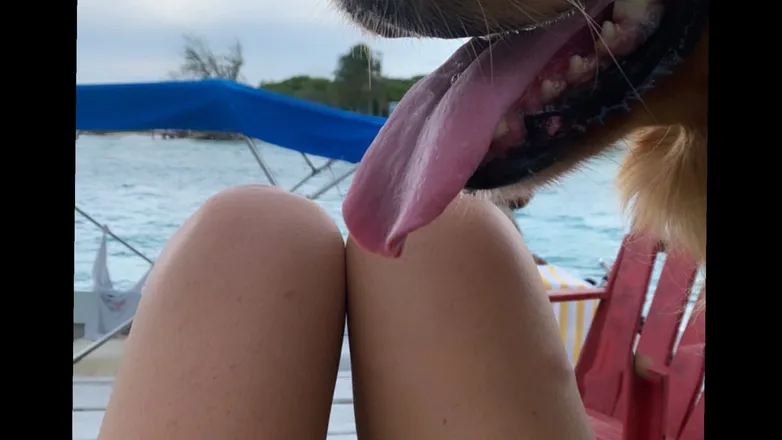 OnlyFans cuenta hotdogsorhotmesslegs header 2
