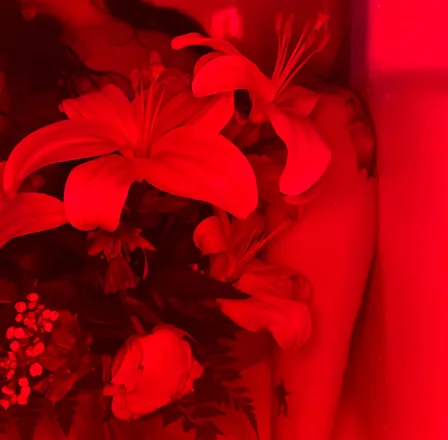 OnlyFans cuenta peachessweetss header 2