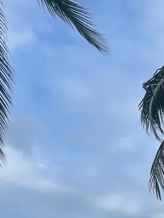 OnlyFans cuenta u14040169 header 2