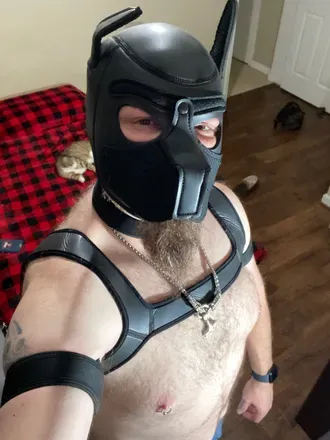 OnlyFans cuenta pupfreki1981 avatar 1