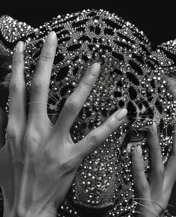 OnlyFans cuenta thetempestdream header 2