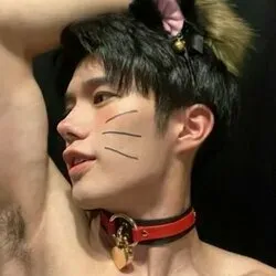 OnlyFans cuenta haikichi_jp avatar 1