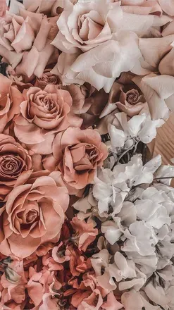 OnlyFans cuenta summerlee header 2