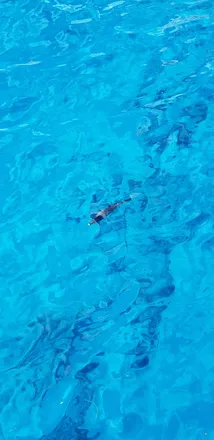 OnlyFans account  gingerball header 2