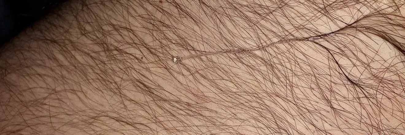 OnlyFans cuenta hairyalaskanartist header 2