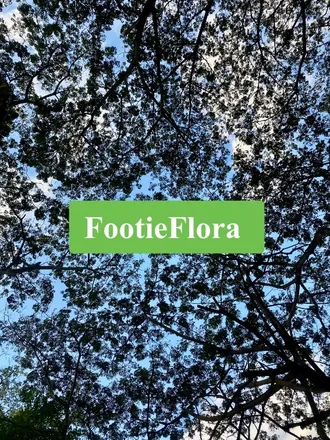 OnlyFans cuenta footieflora header 2