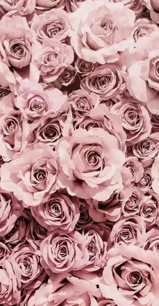 OnlyFans cuenta chaneldior2020 header 2