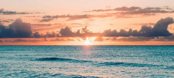 OnlyFans cuenta beachfiend header 2