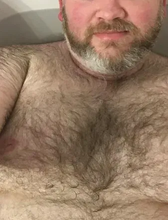 OnlyFans account  scbearfun avatar 1
