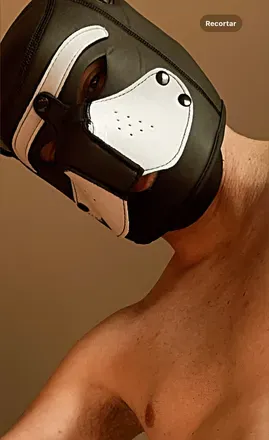 OnlyFans cuenta bwcbrazilian avatar 1