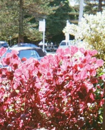 OnlyFans cuenta emeraldxfantasy header 2