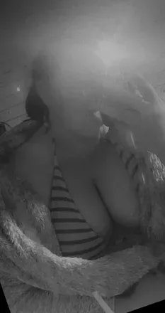 OnlyFans cuenta avagrace669 avatar 1