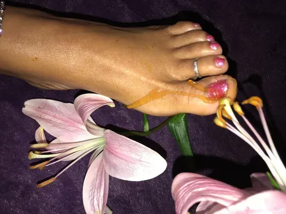 OnlyFans cuenta vnessnicole33 header 2