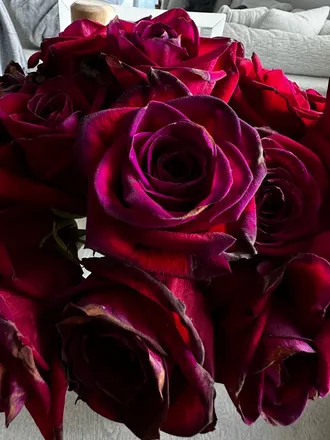 OnlyFans cuenta jellyjells header 2