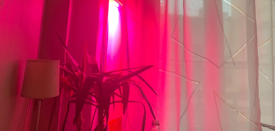 OnlyFans cuenta popihuhuu header 2