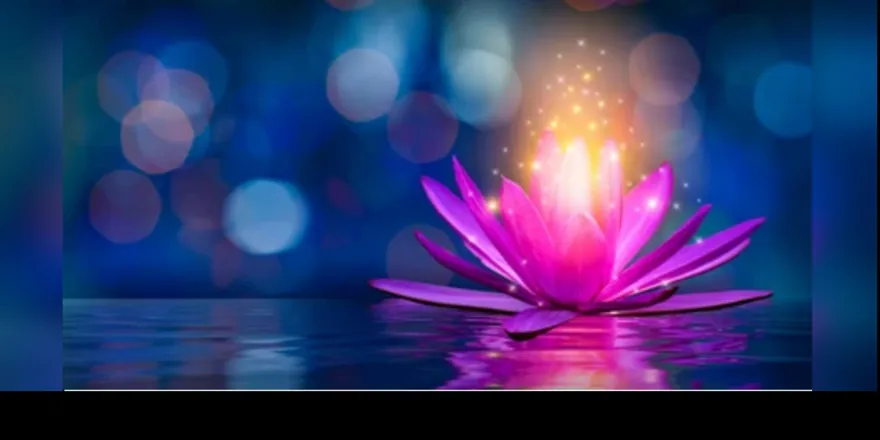 OnlyFans cuenta gardenoflotus header 2