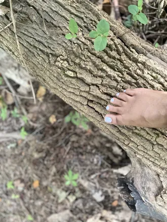 OnlyFans account  delightfulxxnina header 2
