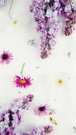 OnlyFans cuenta botanicalbish header 2