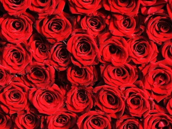 OnlyFans cuenta rosiebaepnw header 2
