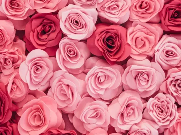 OnlyFans cuenta tudulcedeseoapoteosico header 2