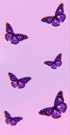 OnlyFans cuenta butterflymimi header 2