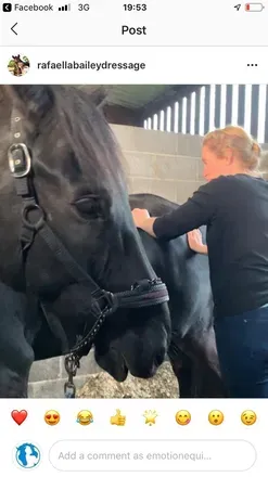 OnlyFans cuenta equinemassage avatar 1