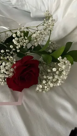 OnlyFans cuenta taylorfrancine header 2