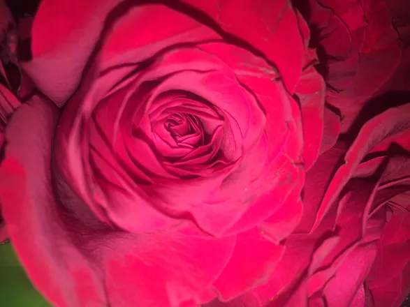 OnlyFans cuenta symbolsofsex header 2