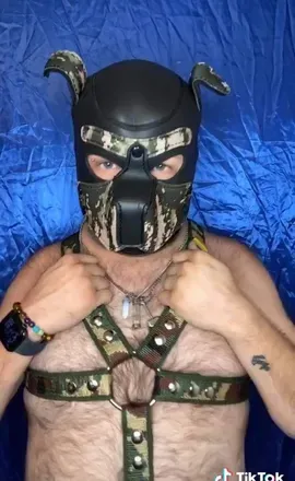 OnlyFans cuenta pupmagness avatar 1