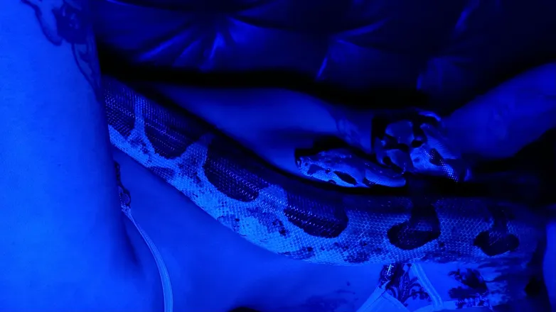 OnlyFans cuenta ari3l header 2