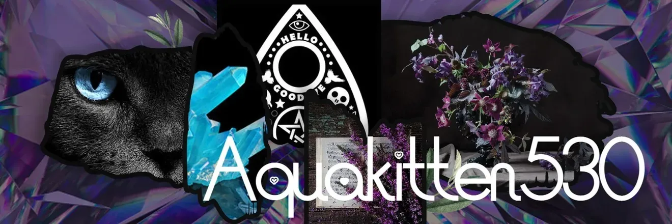 OnlyFans cuenta aquakitten530 header 2