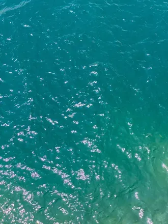 OnlyFans cuenta sharkiegirl header 2