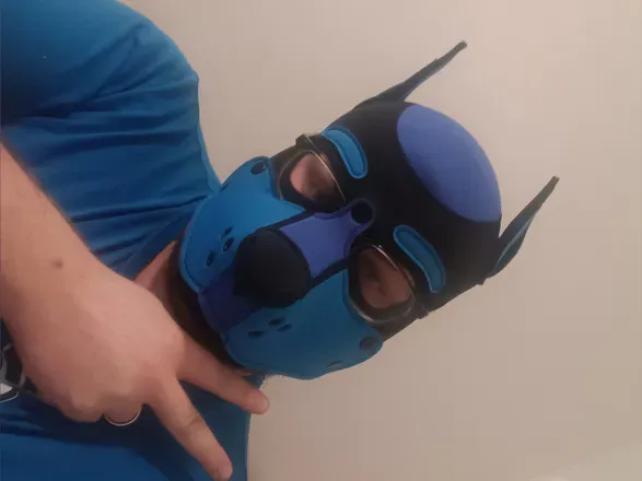 OnlyFans cuenta bluesexypup avatar 1