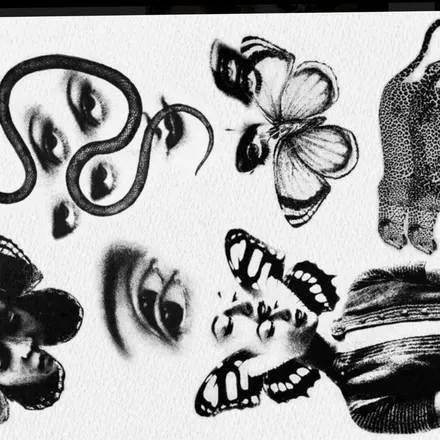 OnlyFans cuenta rose2rose header 2
