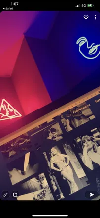 OnlyFans cuenta tvnzx header 2