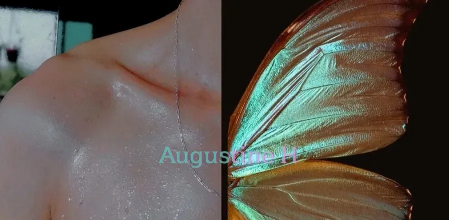 OnlyFans account  augustineh header 2