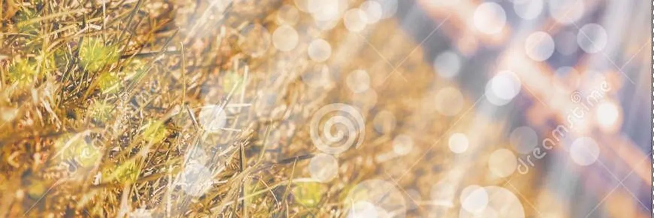 OnlyFans cuenta saralopz header 2