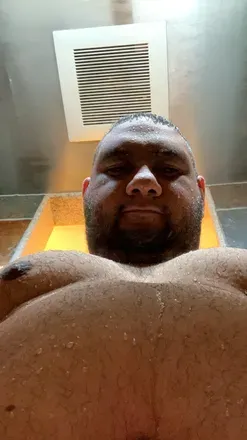 OnlyFans cuenta calibear213 avatar 1